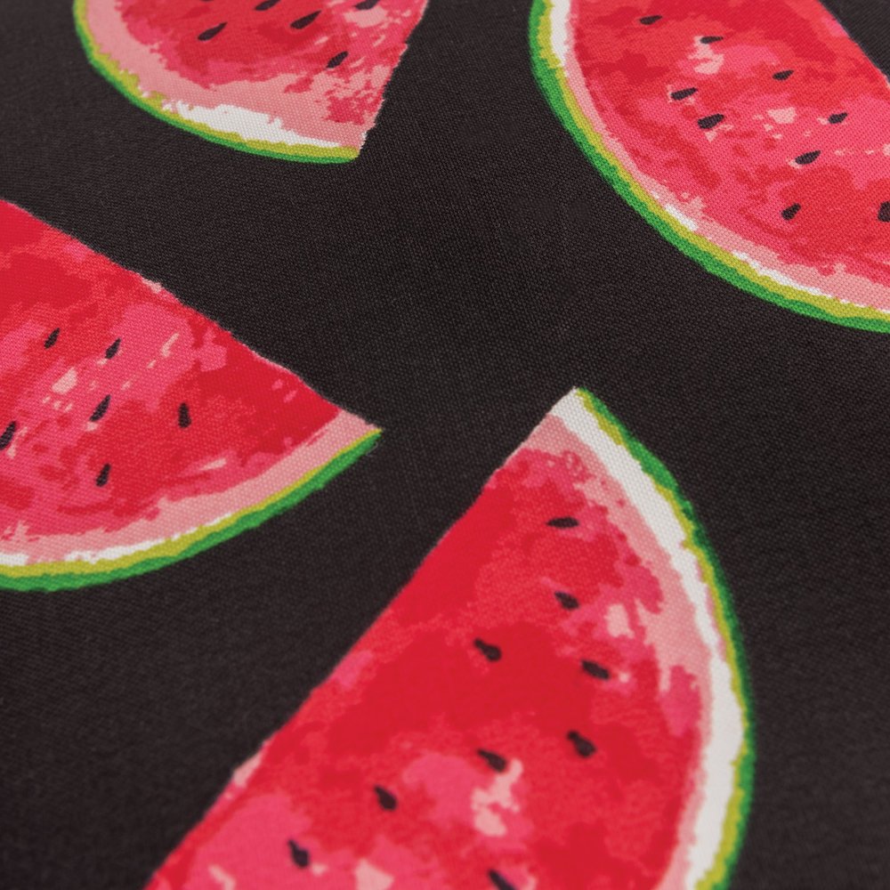 22" Black & Red Watermelon Indoor/Outdoor Patio Throw Pillow
