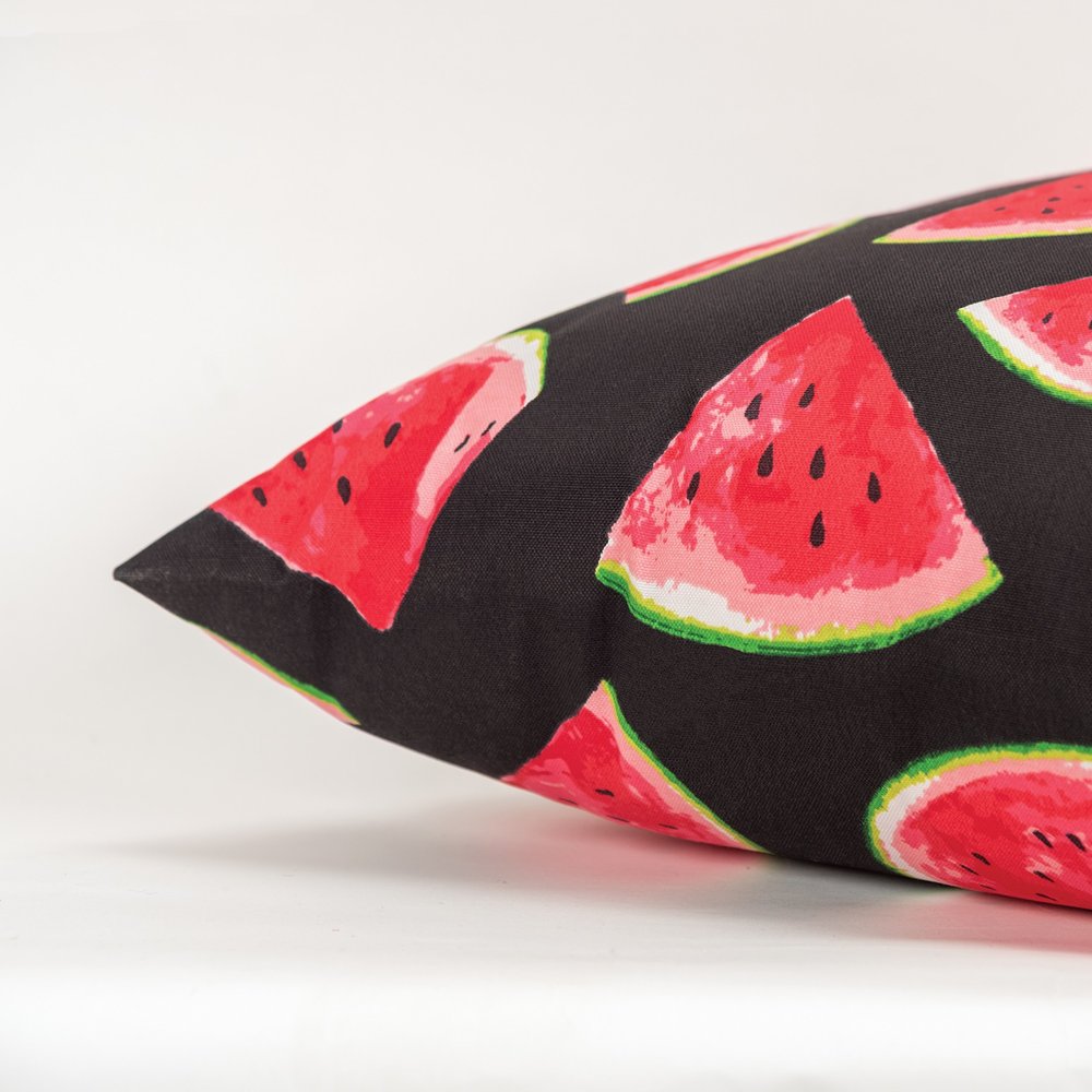 22" Black & Red Watermelon Indoor/Outdoor Patio Throw Pillow