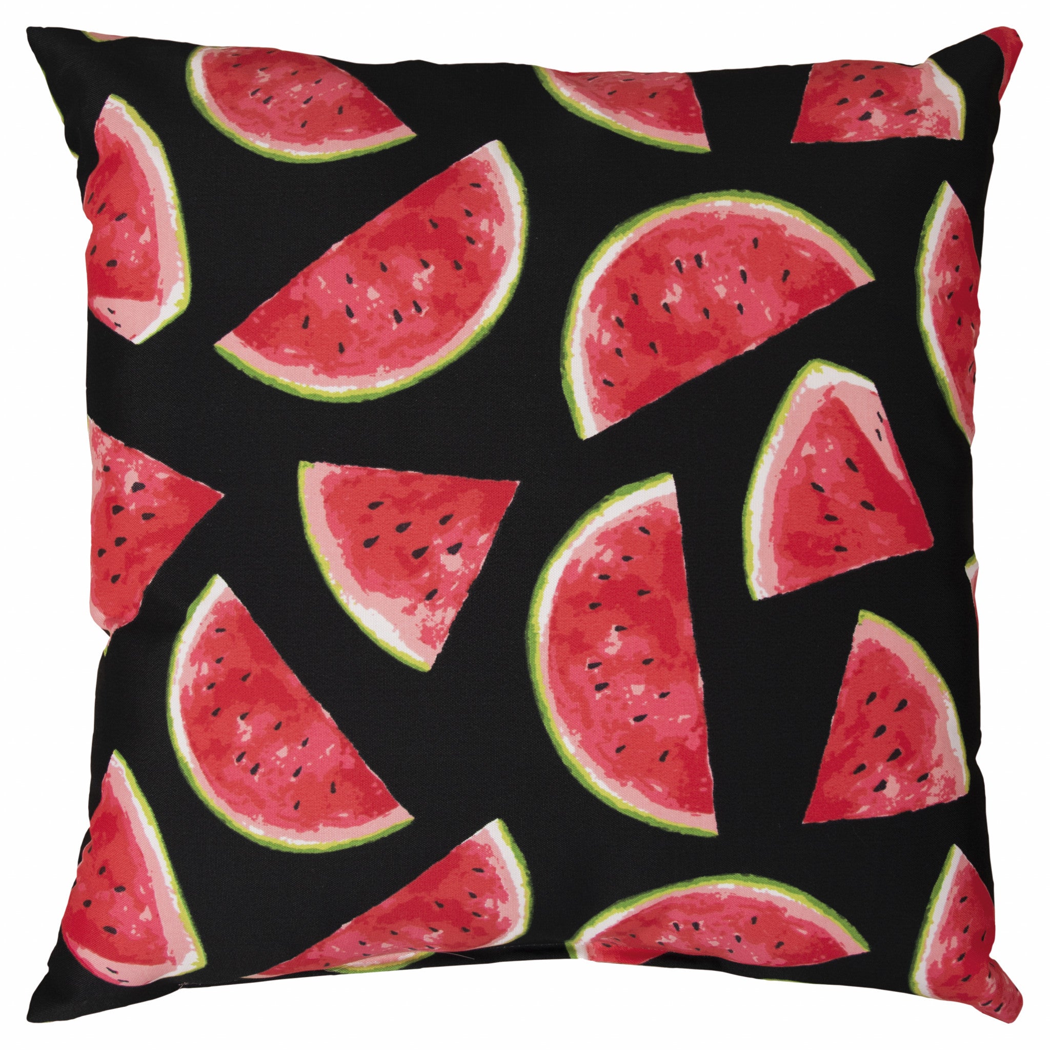 22" Black & Red Watermelon Indoor/Outdoor Patio Throw Pillow